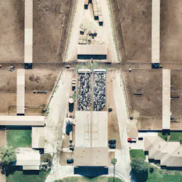 Chino, California Dairy Farm