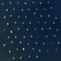 Mussel nurseries